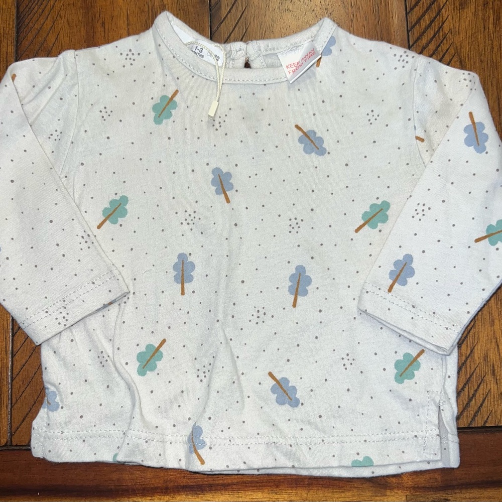 Zara Top